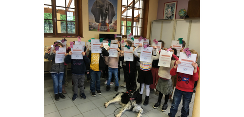 diplome prevention morsures enfants ecole chien