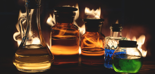 phytothérapie chien