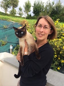 consultations comportement chat