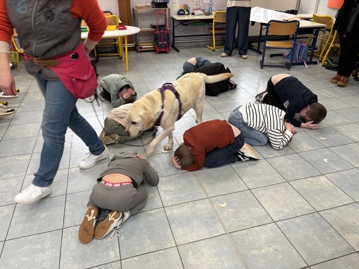 peccram 2026 caillou