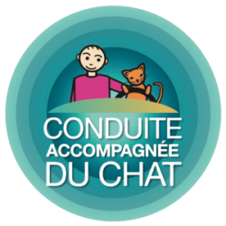 LOGO_CAC_chat_HD-removebg