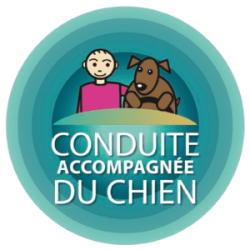 LOGO_CAC_chien_HD-removebg-preview